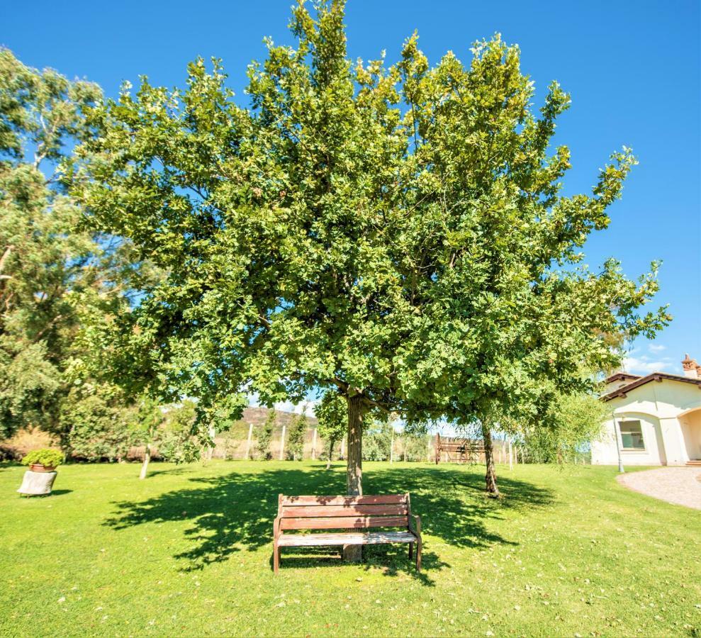 Villa Gli Eucalipti Черветери Екстериор снимка